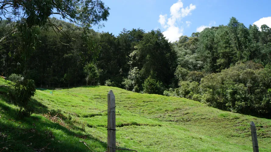 Lote en venta en Pontezuela, Rionegro, 36300 m² · foto 15 de 18