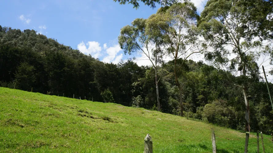 Lote en venta en Pontezuela, Rionegro, 36300 m² · foto 17 de 18