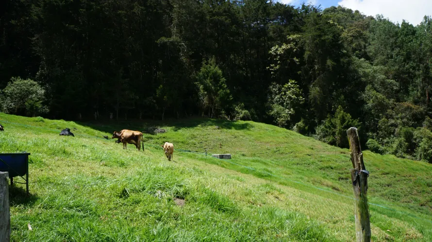 Lote en venta en Pontezuela, Rionegro, 36300 m² · foto 18 de 18