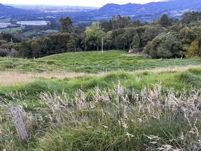 Finca en venta en Lomitas, La Ceja · foto 3 de 18