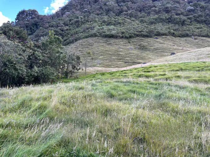 Finca en venta en Lomitas, La Ceja · foto 4 de 18