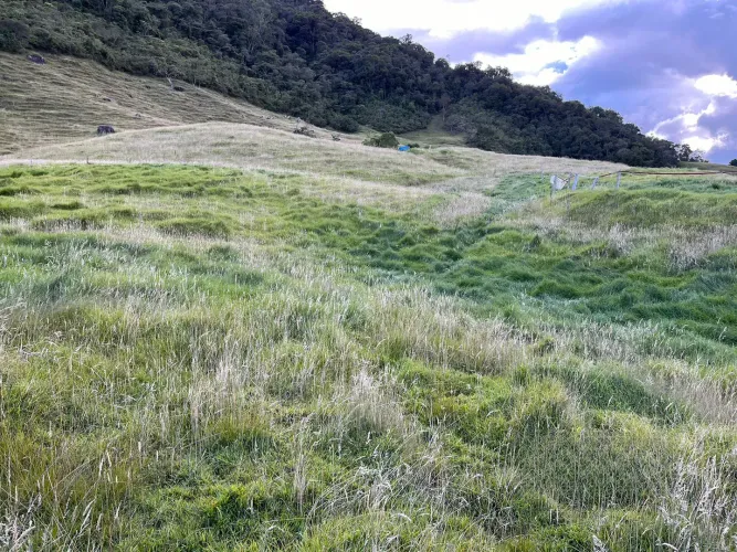 Finca en venta en Lomitas, La Ceja · foto 5 de 18