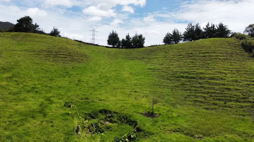 Lote en venta en El Carmen De Viboral, El Carmen de Viboral, 28000 m² · foto 5 de 14
