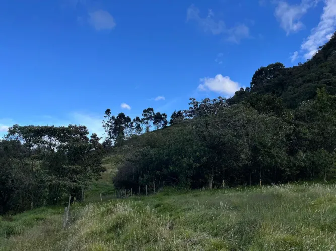Finca en venta en Lomitas, La Ceja · foto 6 de 18