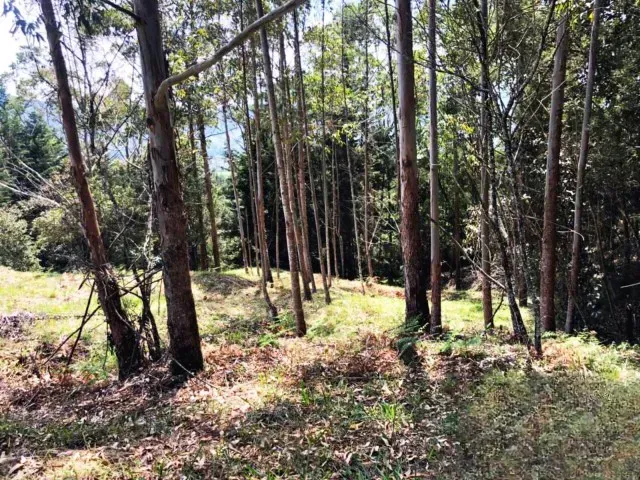Lote en venta en Guamito, Rionegro, 18382 m² · foto 2 de 11