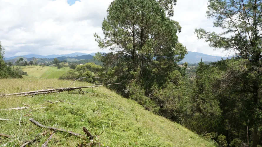 Lote en venta en Pontezuela, Rionegro, 36300 m² · foto 5 de 24