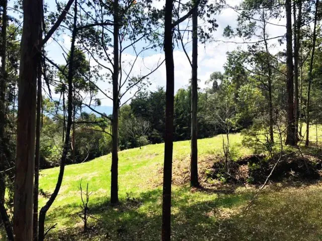 Lote en venta en Guamito, Rionegro, 18382 m² · foto 3 de 11