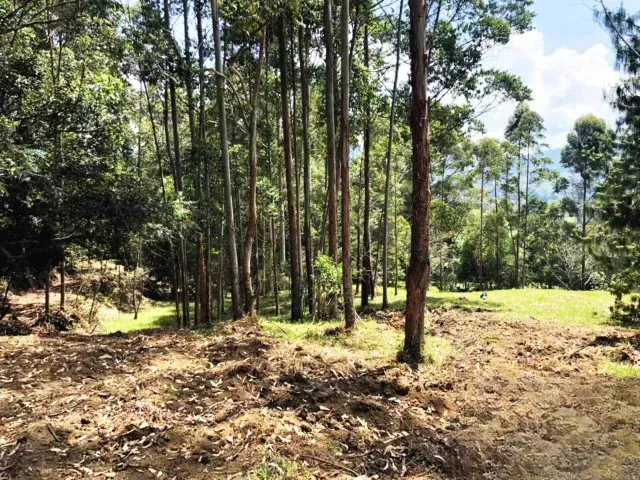 Lote en venta en Guamito, Rionegro, 18382 m² · foto 4 de 11