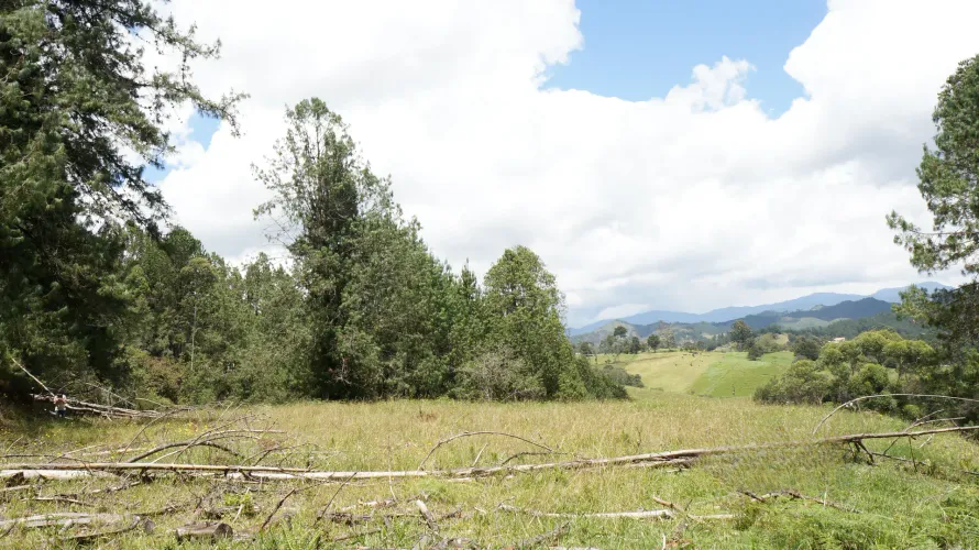 Lote en venta en Pontezuela, Rionegro, 36300 m² · foto 7 de 24