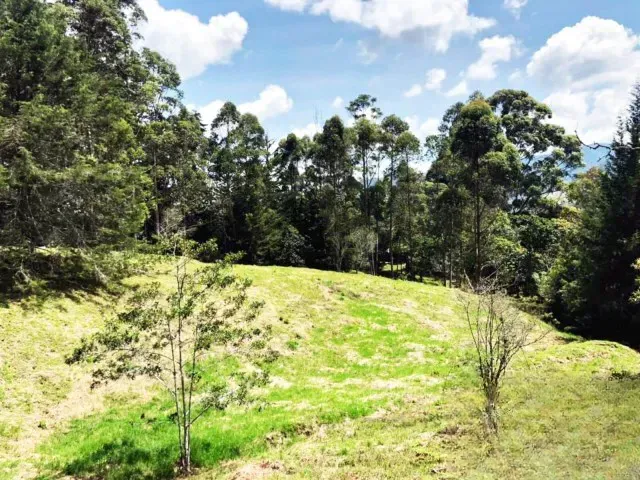 Lote en venta en Guamito, Rionegro, 18382 m² · foto 5 de 11