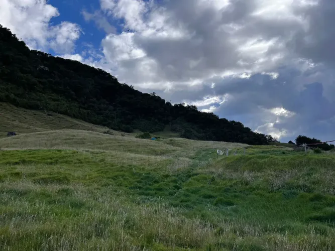 Finca en venta en Lomitas, La Ceja · foto 9 de 18