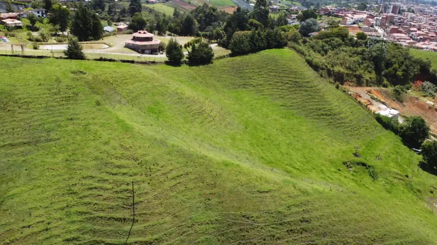 Lote en venta en El Carmen De Viboral, El Carmen de Viboral, 28000 m² · foto 9 de 14