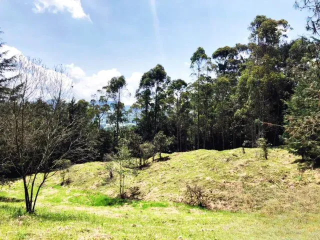 Lote en venta en Guamito, Rionegro, 18382 m² · foto 6 de 11