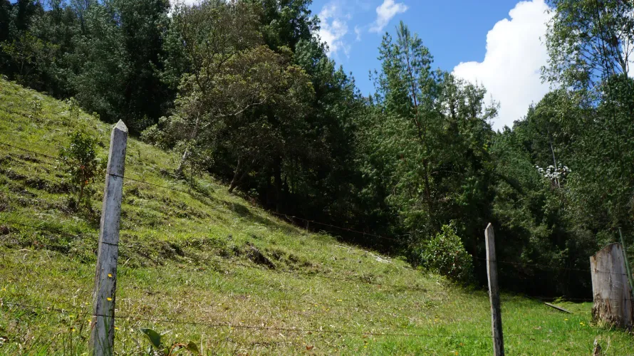 Lote en venta en Pontezuela, Rionegro, 36300 m² · foto 8 de 24