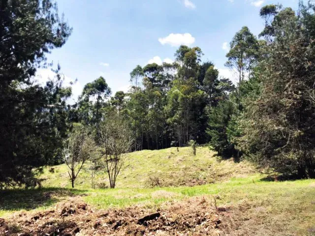 Lote en venta en Guamito, Rionegro, 18382 m² · foto 7 de 11