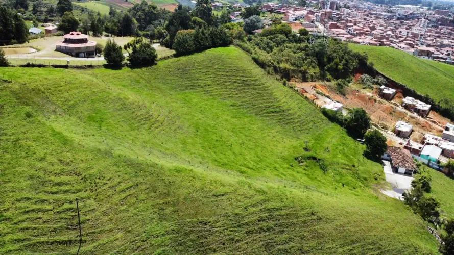 Lote en venta en El Carmen De Viboral, El Carmen de Viboral, 28000 m² · foto 10 de 14