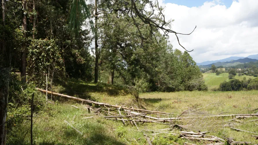 Lote en venta en Pontezuela, Rionegro, 36300 m² · foto 9 de 24