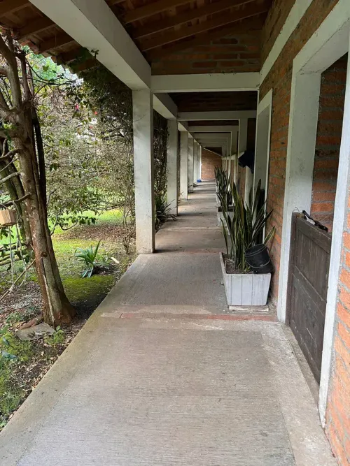 Finca en venta en Lomitas, La Ceja · foto 11 de 18