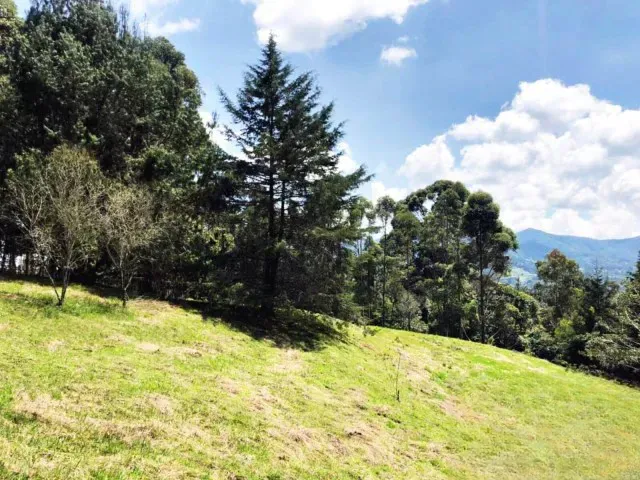 Lote en venta en Guamito, Rionegro, 18382 m² · foto 9 de 11