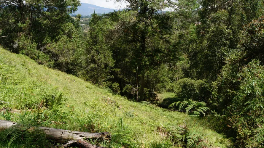 Lote en venta en Pontezuela, Rionegro, 36300 m² · foto 10 de 24