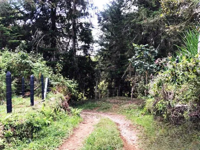 Lote en venta en Guamito, Rionegro, 18382 m² · foto 11 de 11