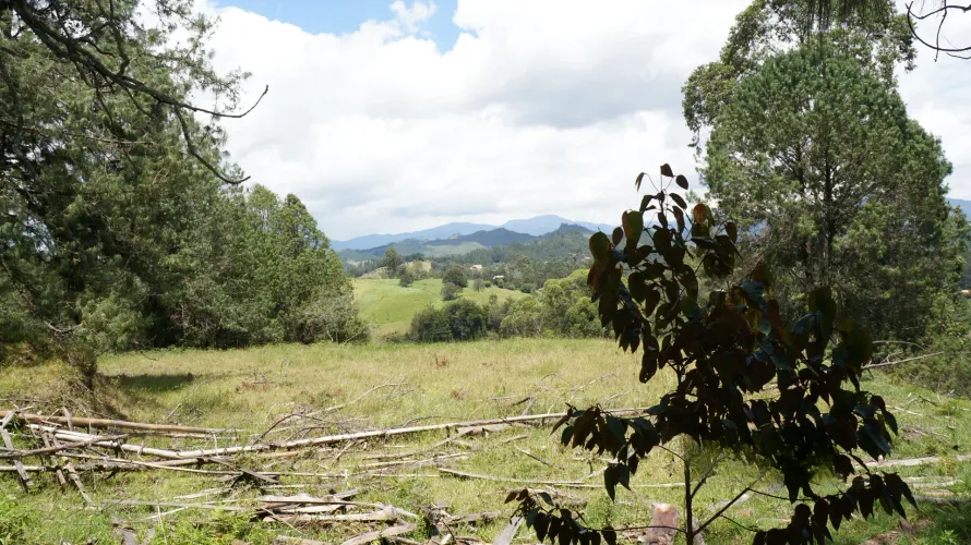 Lote en venta en Pontezuela, Rionegro, 36300 m² · foto 12 de 24