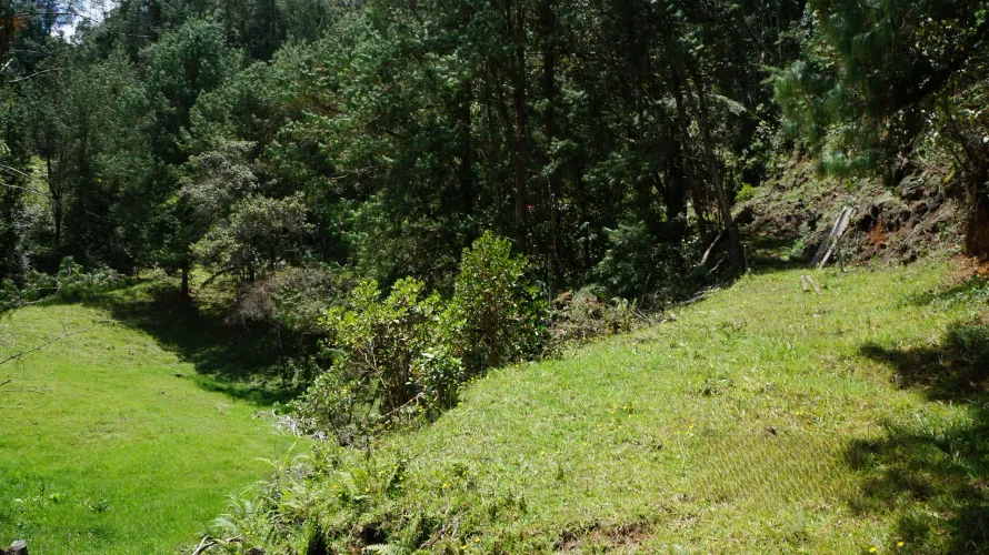 Lote en venta en Pontezuela, Rionegro, 36300 m² · foto 14 de 24