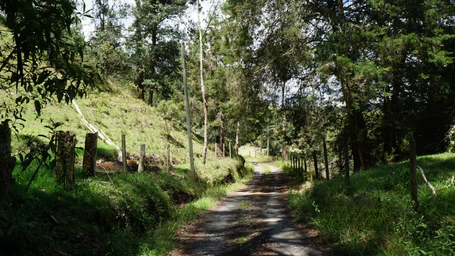 Lote en venta en Pontezuela, Rionegro, 36300 m² · foto 15 de 24
