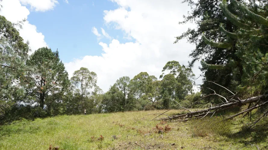 Lote en venta en Pontezuela, Rionegro, 36300 m² · foto 16 de 24