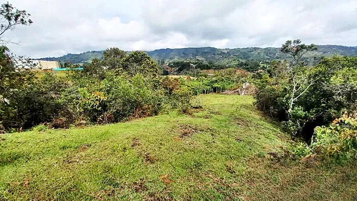 Lote en venta en Guarne, 10000 m² · foto 6 de 12