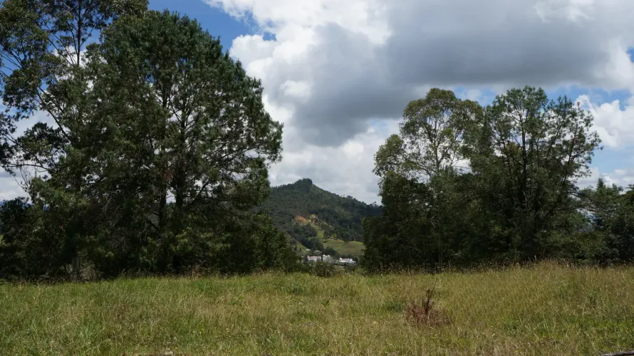 Lote en venta en Pontezuela, Rionegro, 36300 m² · foto 17 de 24
