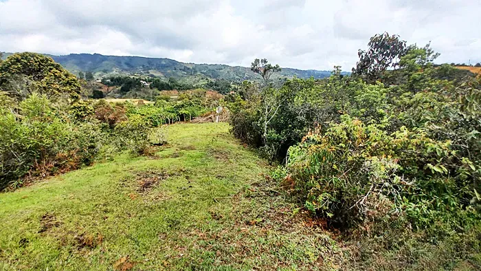 Lote en venta en Guarne, 10000 m² · foto 8 de 12