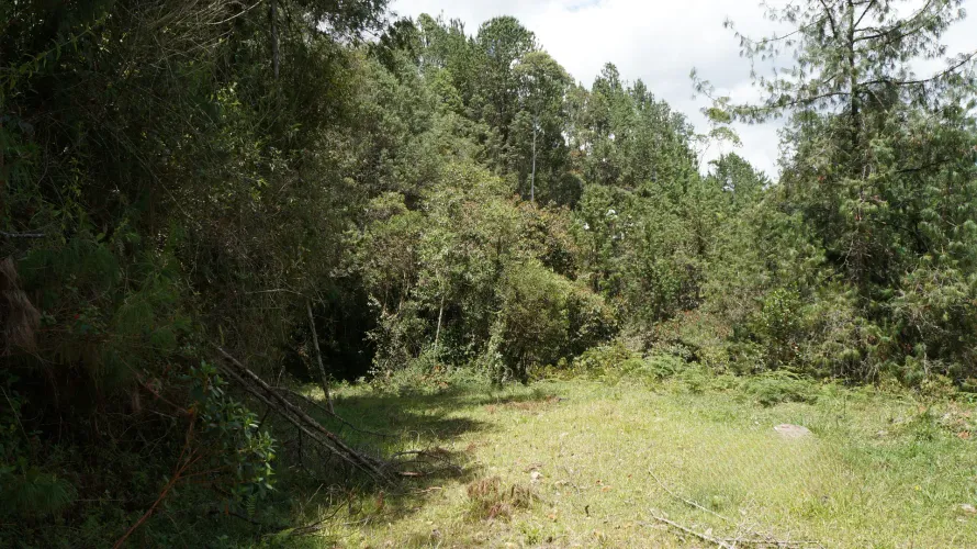 Lote en venta en Pontezuela, Rionegro, 36300 m² · foto 19 de 24