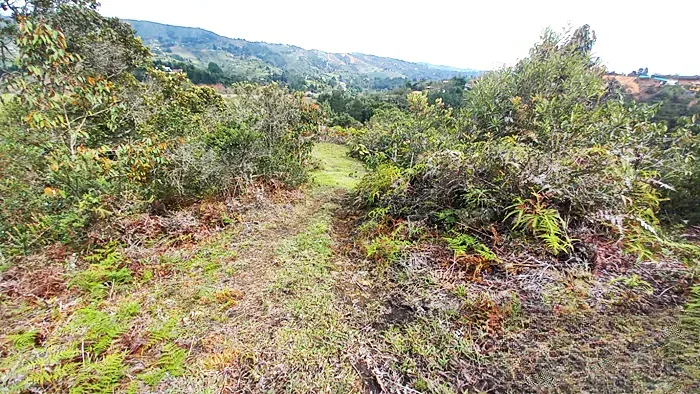 Lote en venta en Guarne, 10000 m² · foto 11 de 12