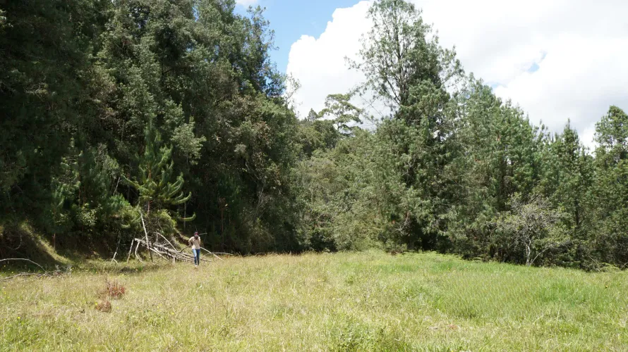 Lote en venta en Pontezuela, Rionegro, 36300 m² · foto 20 de 24