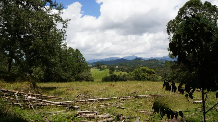 Lote en venta en Pontezuela, Rionegro, 36300 m² · foto 21 de 24