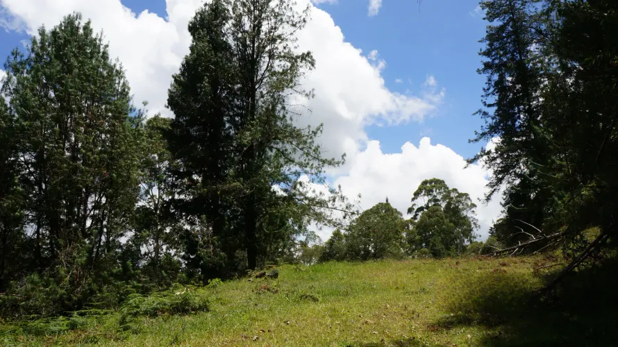 Lote en venta en Pontezuela, Rionegro, 36300 m² · foto 22 de 24