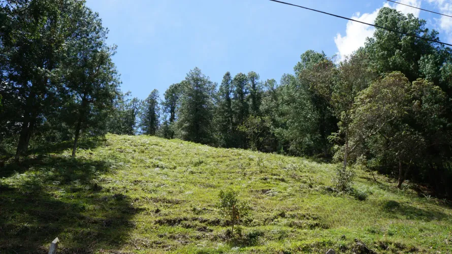 Lote en venta en Pontezuela, Rionegro, 36300 m² · foto 23 de 24