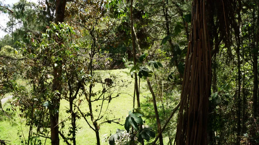 Lote en venta en Pontezuela, Rionegro, 36300 m² · foto 24 de 24