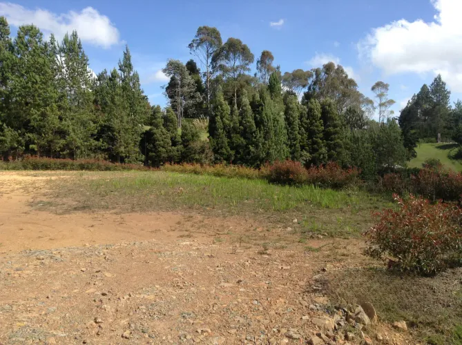 Lote en venta en Vía Las Palmas, Envigado, 1800 m² · foto 5 de 6