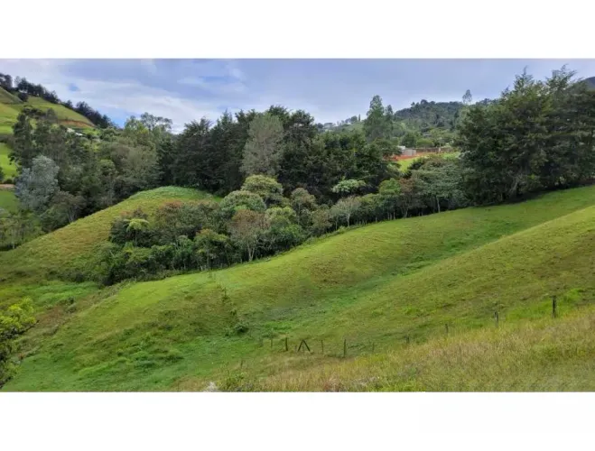 Finca en venta en El Higueron, Rionegro, 26352 m² · foto 3 de 23