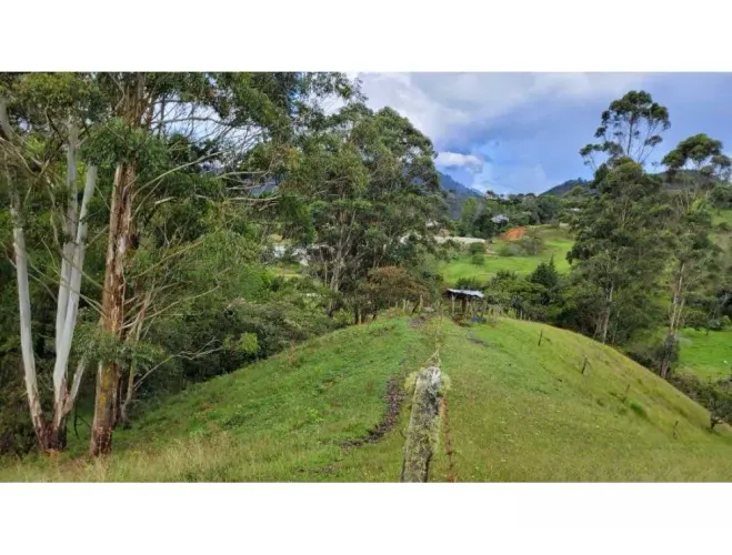 Finca en venta en El Higueron, Rionegro, 26352 m² · foto 4 de 23