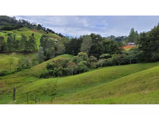Finca en venta en El Higueron, Rionegro, 26352 m² · foto 5 de 23