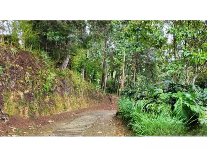 Finca en venta en El Higueron, Rionegro, 26352 m² · foto 7 de 23