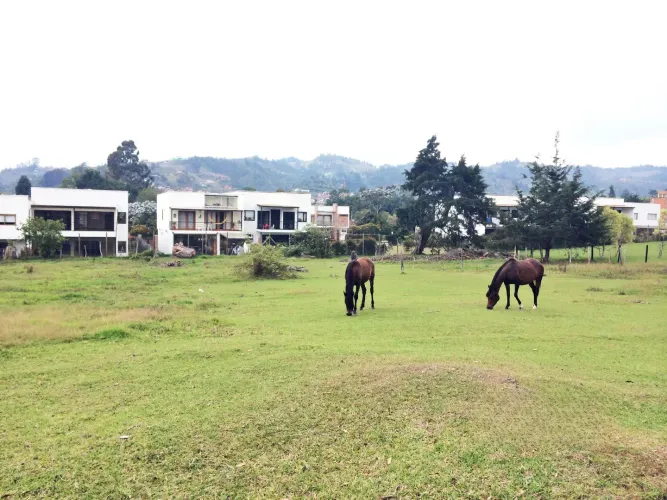 Lote en venta en El Retiro, 8003 m² · foto 2 de 13