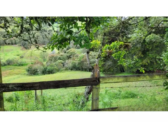 Finca en venta en El Higueron, Rionegro, 26352 m² · foto 10 de 23