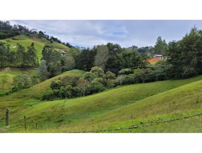Finca en venta en El Higueron, Rionegro, 26352 m² · foto 12 de 23