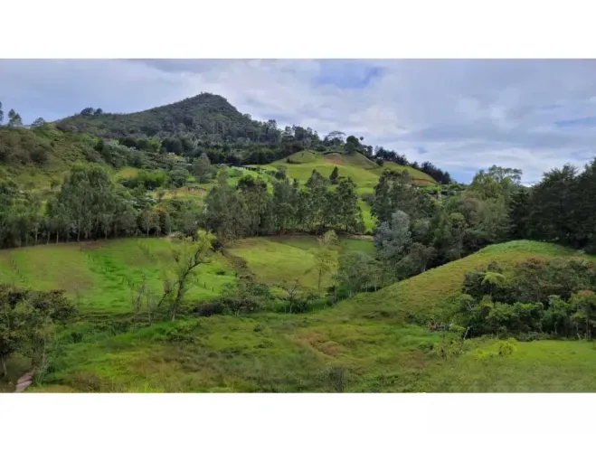 Finca en venta en El Higueron, Rionegro, 26352 m² · foto 13 de 23