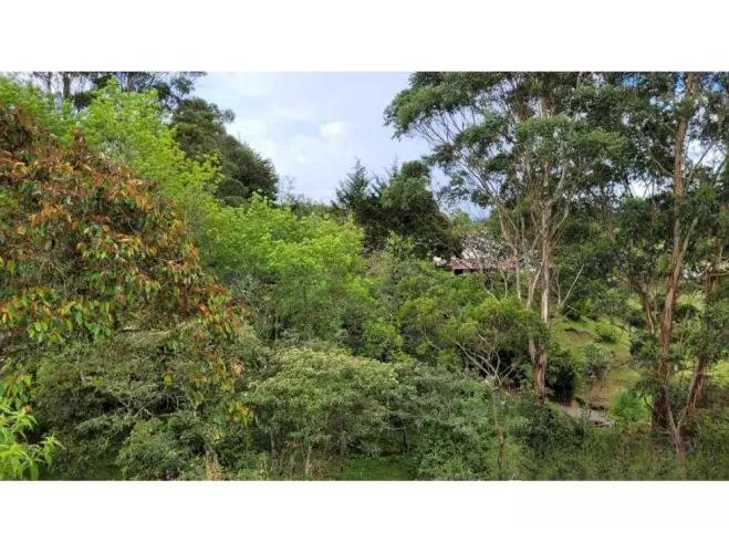 Finca en venta en El Higueron, Rionegro, 26352 m² · foto 14 de 23