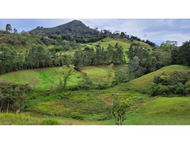 Finca en venta en El Higueron, Rionegro, 26352 m² · foto 15 de 23